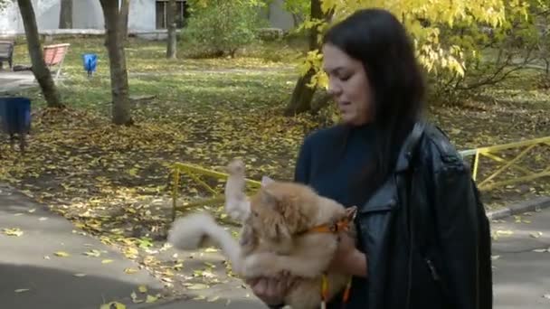 Deux filles marchent avec un chat automne dans le parc — Video