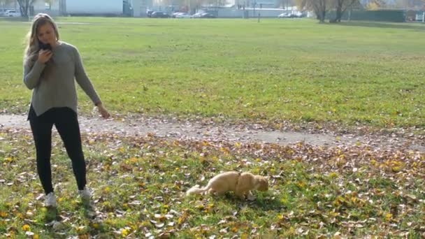 秋の公園で猫とひもにつないで歩いている少女 — ストック動画