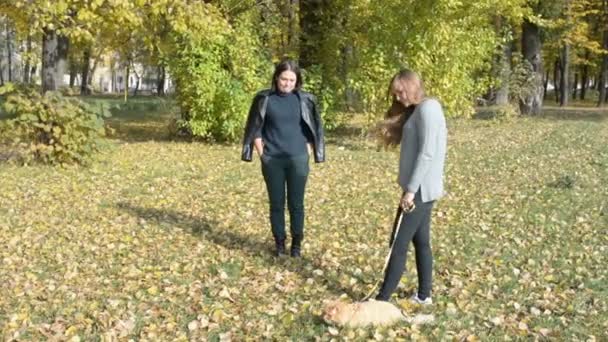 Két lány ment egy macska séta egy póráz őszi Park — Stock videók