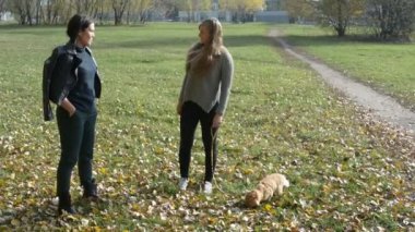 İki kız bir kedi ile dolaşmak tasma Sonbahar Park gitti