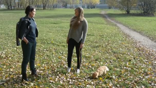 Twee meisjes gingen voor een wandeling met een kat aangelijnd in het najaar Park — Stockvideo