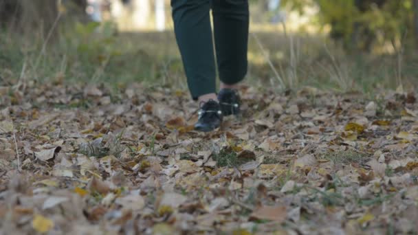 秋の公園で歩く若い女性 女性の足のクローズ アップ 落ち葉の上を歩く女の子 — ストック動画
