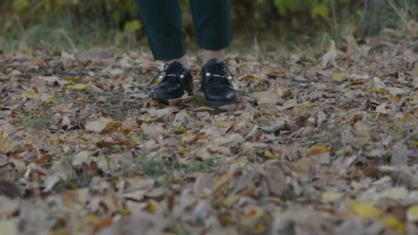 年轻女子在秋天公园散步 女性的脚特写 女孩在落叶上行走 — 图库视频影像