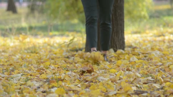 Jonge Vrouw Lopen Het Najaar Park Close Van Vrouwelijke Voeten — Stockvideo