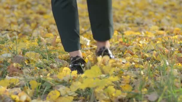 Sonbahar Park Yürüyen Genç Kadın Kadın Ayakları Portre Kız Düşmüş — Stok video