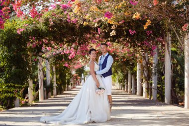 Genç gelin ve damat sahilde yürüyüş, Öpüşme ve sahip eğlenceli, düğün töreni kayalar ve deniz yakınında gülümseyen güzel. Kıbrıs Sahil düğün töreni