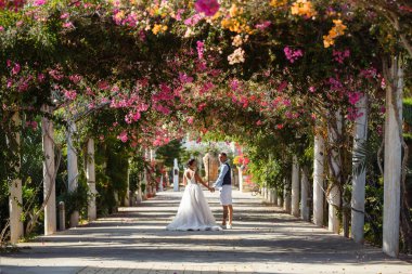 Genç gelin ve damat sahilde yürüyüş, Öpüşme ve sahip eğlenceli, düğün töreni kayalar ve deniz yakınında gülümseyen güzel. Kıbrıs Sahil düğün töreni