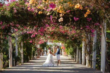 Genç gelin ve damat sahilde yürüyüş, Öpüşme ve sahip eğlenceli, düğün töreni kayalar ve deniz yakınında gülümseyen güzel. Kıbrıs Sahil düğün töreni