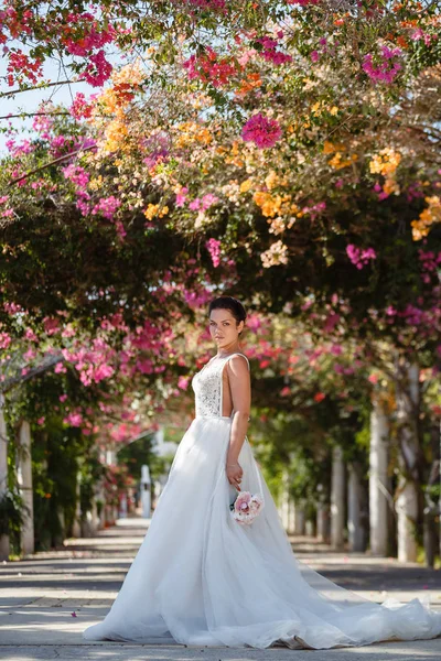 Genç gelin ve damat sahilde yürüyüş, Öpüşme ve sahip eğlenceli, düğün töreni kayalar ve deniz yakınında gülümseyen güzel. Kıbrıs Sahil düğün töreni