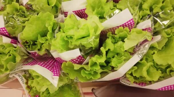 Varieties of green salad sold in the supermarket stock footage video — Stock Video