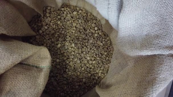 Kornen Rostade Kaffe Påsen — Stockvideo