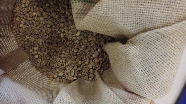 Grains Roasted Coffee Bag — Stock Video