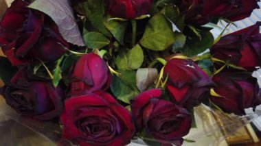 Sarkık evde bir Vazoda Çiçekler buket Solana