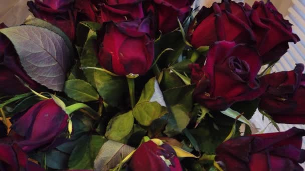 Bouquet flétri de fleurs tombantes dans un vase à la maison — Video