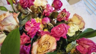 Sarkık evde bir Vazoda Çiçekler buket Solana