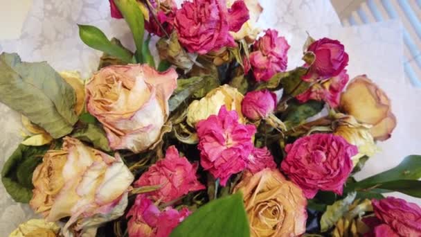 Wilted drooping bouquet of flowers in a vase at home — Stock Footage Wilted drooping bouquet of flowers in a vase at home Royalty Free Stock Footage