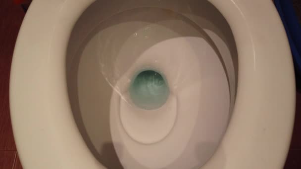 Water Empties Clean White Toilet Complete Flushing Sequence — Stock Video