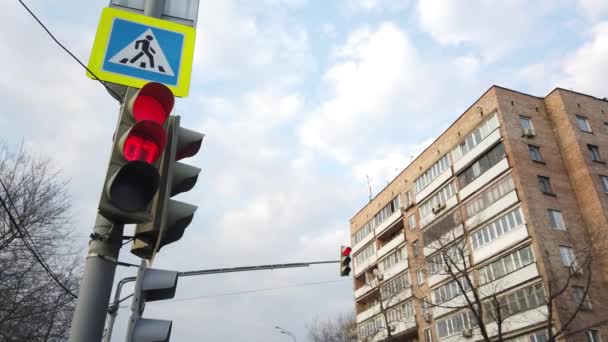 信号は赤 緑の矢印を点灯します 道を譲る 横断歩道 信号の切り替え 大都会の交通 — ストック動画
