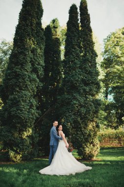 Evlilik çift niteliğine birbirlerine sarılıyor. Beyaz elbiseli güzel model kız. Takım elbiseli adam. Güzellik gelinle damat. Kadın ve erkek portre. Dantel örtü ile kadın. Kadın ve adam açık havada
