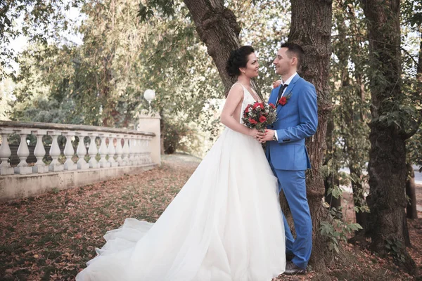 Evlilik çift niteliğine birbirlerine sarılıyor. Beyaz elbiseli güzel model kız. Takım elbiseli adam. Güzellik gelinle damat. Kadın ve erkek portre. Dantel örtü ile kadın. Kadın ve adam açık havada