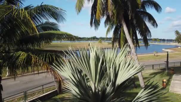 Varadero Palm Beach Ocean Cuba Varadero Kuba Słoneczne Palmy Plażowe — Wideo stockowe