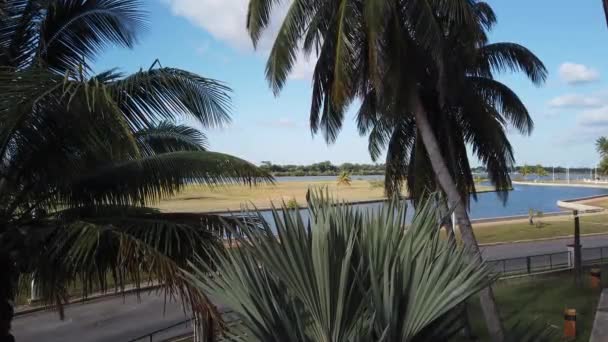 Varadero Palm Beach Ocean Cuba Varadero Cuba Spiaggia Soleggiata Palme — Video Stock