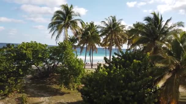 Varadero Palm Beach Ocean Cuba. Varadero, Cuba sunny beach palm trees. Tropical travel scene.
