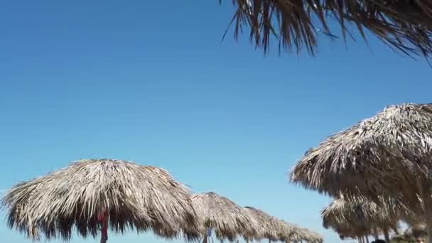 Sun Umbrella Beach — Stock Video