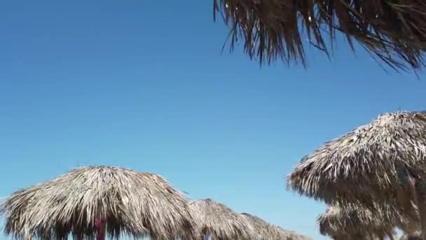 Sun Umbrella Beach — Stock Video