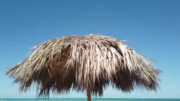 Sun Umbrella Beach — Stock Video