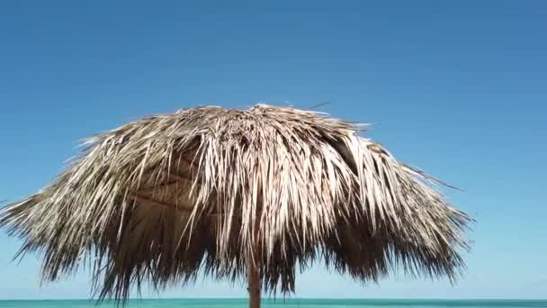 Ομπρέλα Ηλίου Στην Παραλία — Αρχείο Βίντεο
