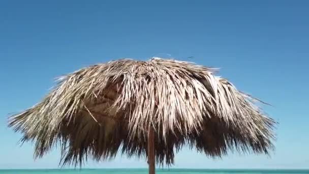 Parasol Plaży — Wideo stockowe