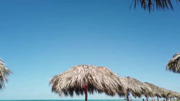 Ομπρέλα Ηλίου Στην Παραλία — Αρχείο Βίντεο