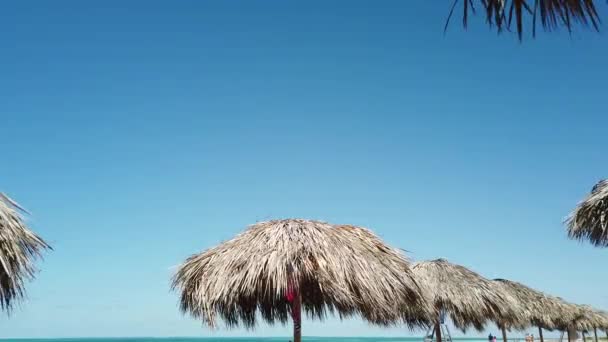 Slunečníky Pláži — Stock video