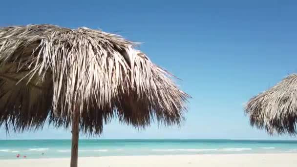Sun Umbrella Beach — Stock Video