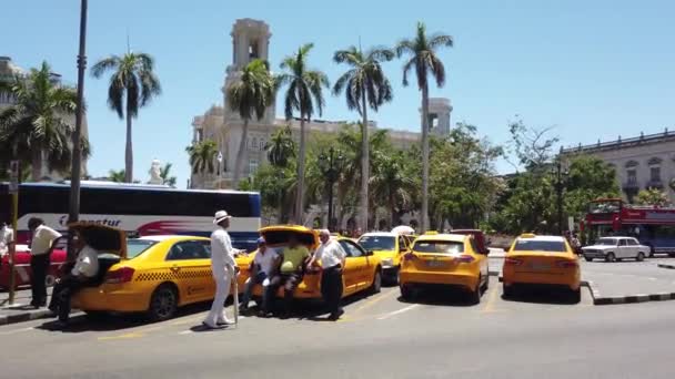 ハバナ キューバ 2019年4月 ハバナは象徴的な人気の観光地です ハバナの旧市街ハバナ市 キューバの通りを運転する古典的なアメリカのヴィンテージレトロキューバ車 — ストック動画