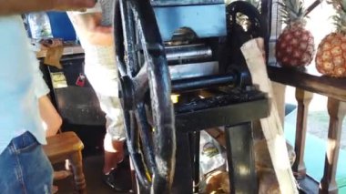 Şeker kamışı sıkma makinesi. Adam şeker kamışı sıkar.