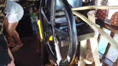 Şeker kamışı sıkma makinesi. Adam şeker kamışı sıkar.