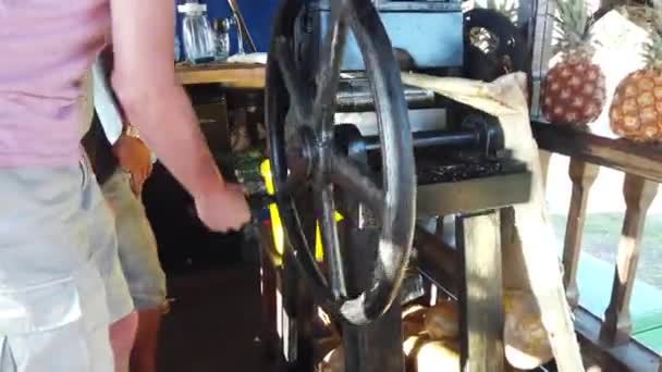 Μηχανή Συμπίεσης Ζαχαρωτών Άνθρωπος Σφίγγει Ζαχαροκάλαμο — Αρχείο Βίντεο