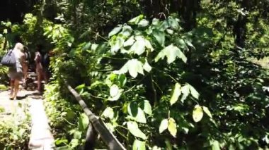 Küba-Nisan 2019: turist grubu köprü boyunca dağ nehri çapraz. Maceralar ve aşırı Turizm, engellerin üstesinden gelmek.