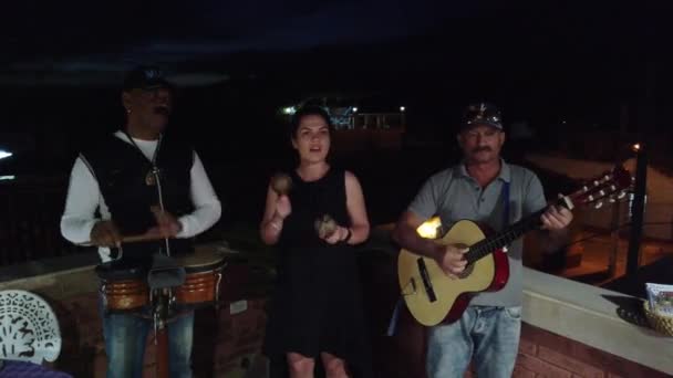 Trinidad Kuba Duben 2019 Kubánské Hudebníci Provádějí Restauraci Nebo Kavárně — Stock video