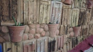 Verandada büyüyen vahşi tropikal meyve ananas, evin çatısı