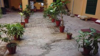 Trinidad, Küba - Nisan 2019: Boyalı duvar resimleri ve dekorasyon Steadicam çekim, Trinidad Palacia Cantero iç, Küba