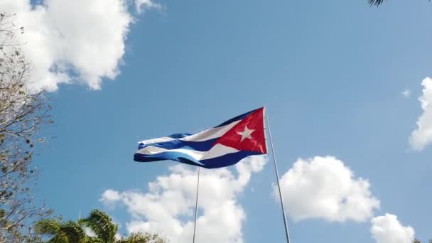 Una Bandera Cubana Ondeando Viento — Vídeos de Stock