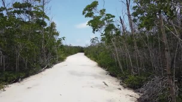 ジャングルを通る白い砂道 — ストック動画