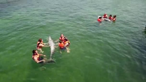 Varadero Matanzas Cuba Abril 2019 Tocar Humano Acariciar Golfinhos Engraçados — Vídeo de Stock