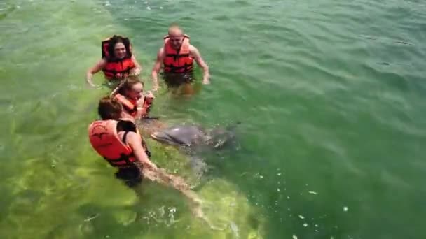 Varadero Matanzas Cuba Abril 2019 Tocar Humano Acariciar Golfinhos Engraçados — Vídeo de Stock