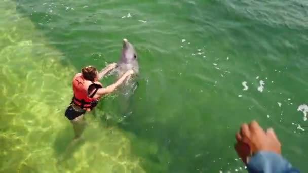 瓦拉德罗 马坦萨斯 2019年4月 人类触摸和抚摸有趣的海豚在浅蓝色海水中游泳在海豚馆 — 图库视频影像