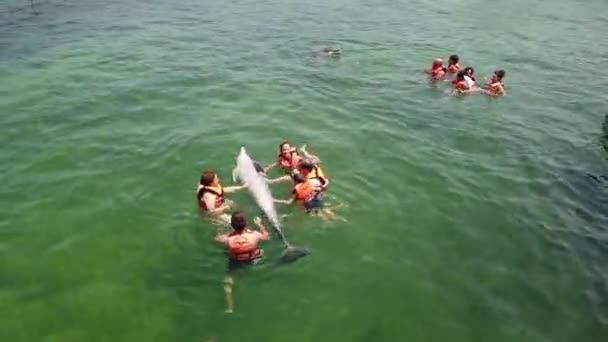 바라데로 마탄자스 2019년 돌고래 수족관에서 물에서 수영하는 인간만다림과 재미있는 돌고래 — 비디오