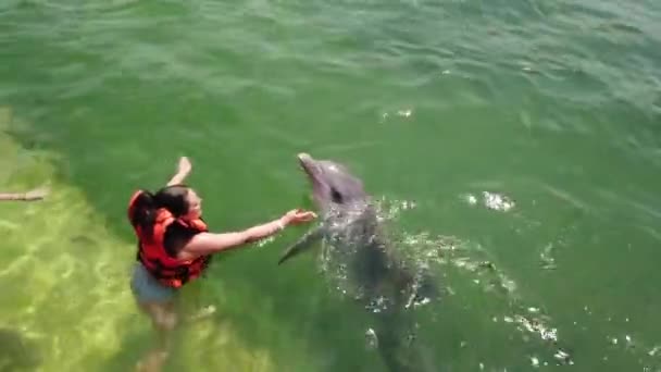 Varadero Matanzas Küba Nisan 2019 Dolphinarium Açık Mavi Suda Yüzen — Stok video